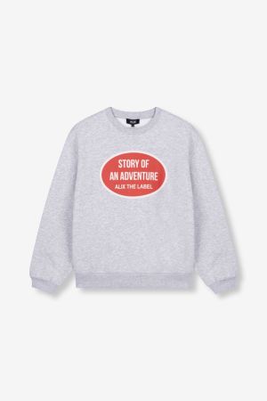 LIGHT GREY 